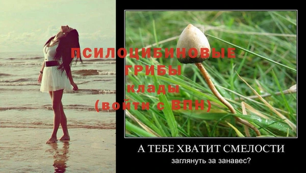 2c-b Навашино