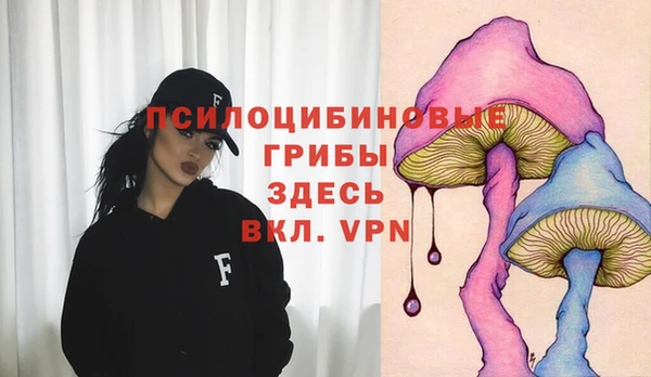 стафф Михайловка