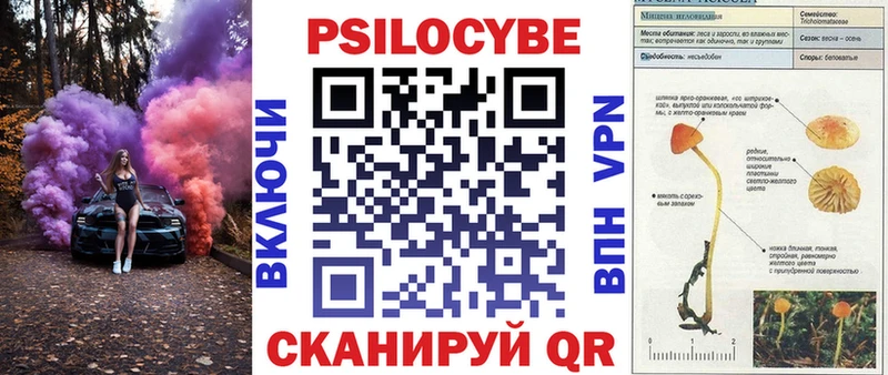 Галлюциногенные грибы Cubensis Межгорье